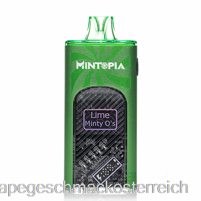 Mintopia Turbo 9000 Einweg-Limetten-Minz-OS-Vape-Geschmack